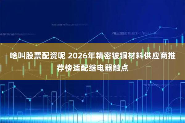 啥叫股票配资呢 2026年精密铍铜材料供应商推荐榜适配继电器触点